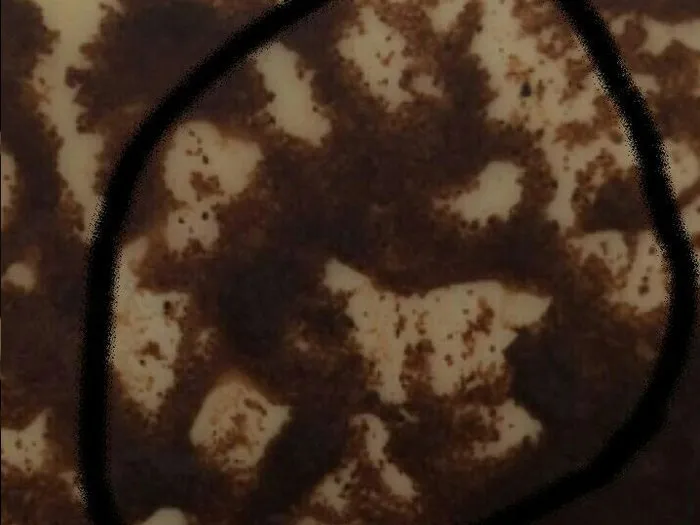 Онлайн-запись на прием к гадалке из Ухты